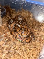 IMG_8862.jpeg