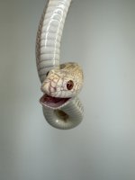 IMG_2674.jpeg