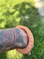 IMG_0921.jpeg