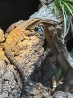 IMG_0839.jpeg