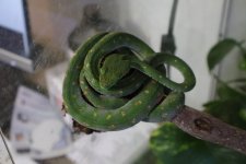 IMG_0014.jpeg
