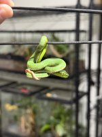 IMG_0343.jpeg