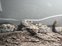 IMG_6963.jpeg