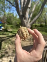 IMG_4930.jpeg