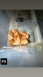 IMG_8587.jpeg