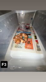 IMG_8585.jpeg