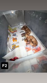 IMG_8584.jpeg
