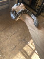 IMG_5827.jpeg