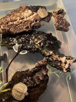IMG_1730.jpeg