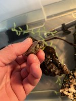 IMG_1728.jpeg