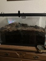 IMG_4310.jpeg IMG_4310.jpeg
