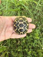 IMG_7295.jpeg