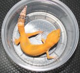 IMG_3551.JPG