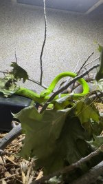 IMG_1467.jpeg
