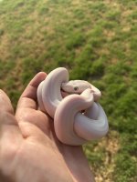 IMG_1791.jpeg