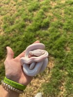 IMG_1789.jpeg