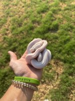 IMG_1788.jpeg