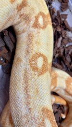 534140789_10163851898356289_9099802377601041206_n.jpg