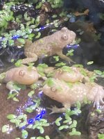 IMG_2473.jpeg