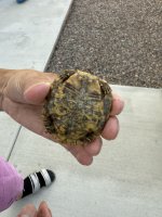 IMG_4910.jpeg