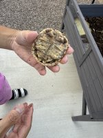 IMG_4912.jpeg
