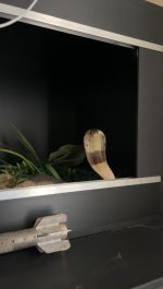 IMG_2812.jpeg