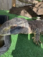 IMG_1914.jpeg