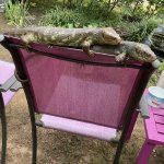 IMG_0197.jpeg