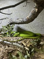 IMG_1481.jpeg
