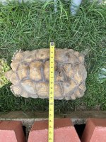 IMG_6371.jpeg