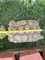 IMG_6370.jpeg