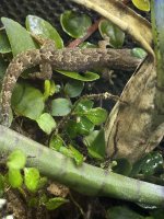 IMG_0173.jpeg