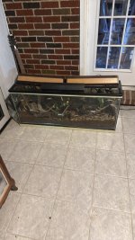 IMG_0205.jpeg