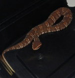 cantil2 (2).png