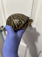 IMG_5961.jpeg