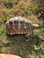 IMG_5361.jpeg