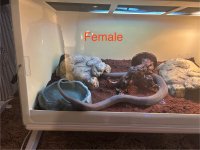 IMG_4165.jpeg