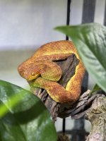 IMG_0853.jpeg