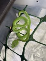 IMG_0838.jpeg