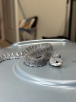 IMG_0785.jpeg