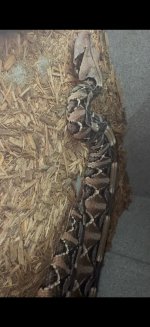 IMG_8925.jpeg