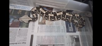 IMG_8928.jpeg