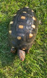 IMG_3341.jpeg