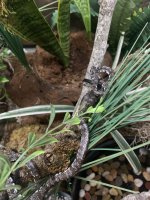 IMG_1428.jpeg