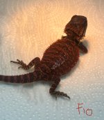 IMG_2390.jpeg
