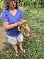 IMG_0910.jpeg