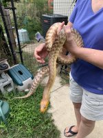 IMG_0904.jpeg