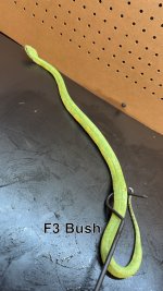 IMG_4126.jpeg