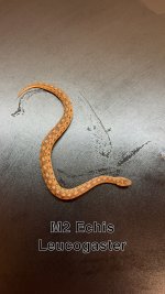 IMG_4119.jpeg
