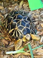 thumbnail_IMG_2358.jpg